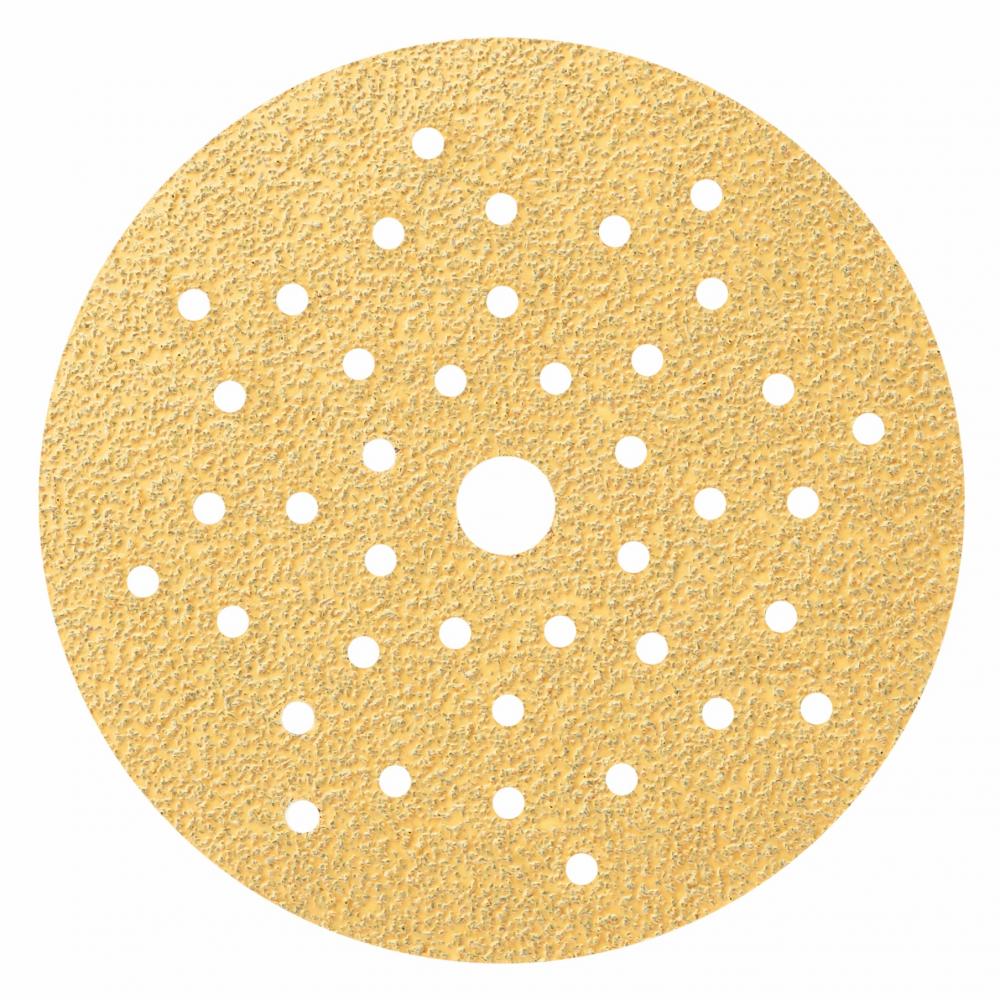 5 In. Multi-Hole Sanding Discs