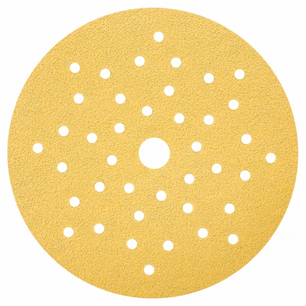 5 In. Multi-Hole Sanding Discs