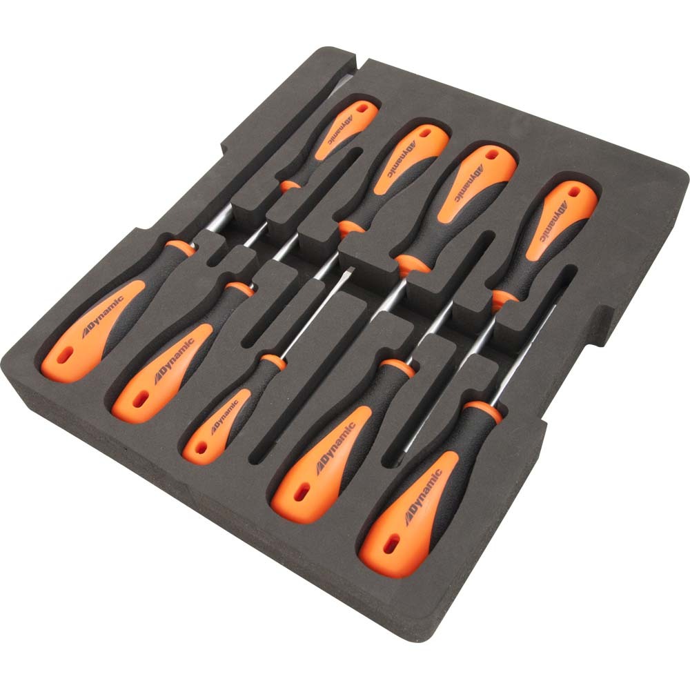 10 Piece Assorted Screwdriver Set With Foam Tool Organizer