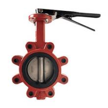 Buchanan 9660L8 - VALVE BTFL 8IN DUCTILE IRON BUNA-N