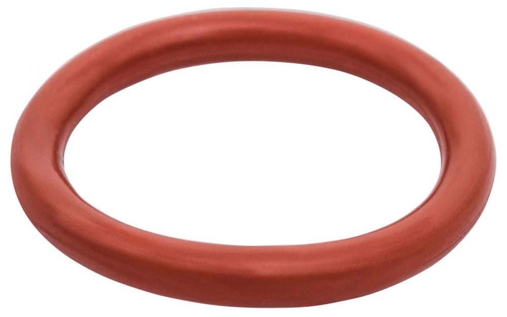 FLANGE RETENTION RING-PKG/10