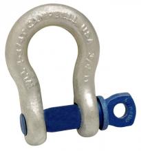 Campbell 5414035 - 2-1/2" ANCHOR SHACKLE,SCREW PIN,H/G