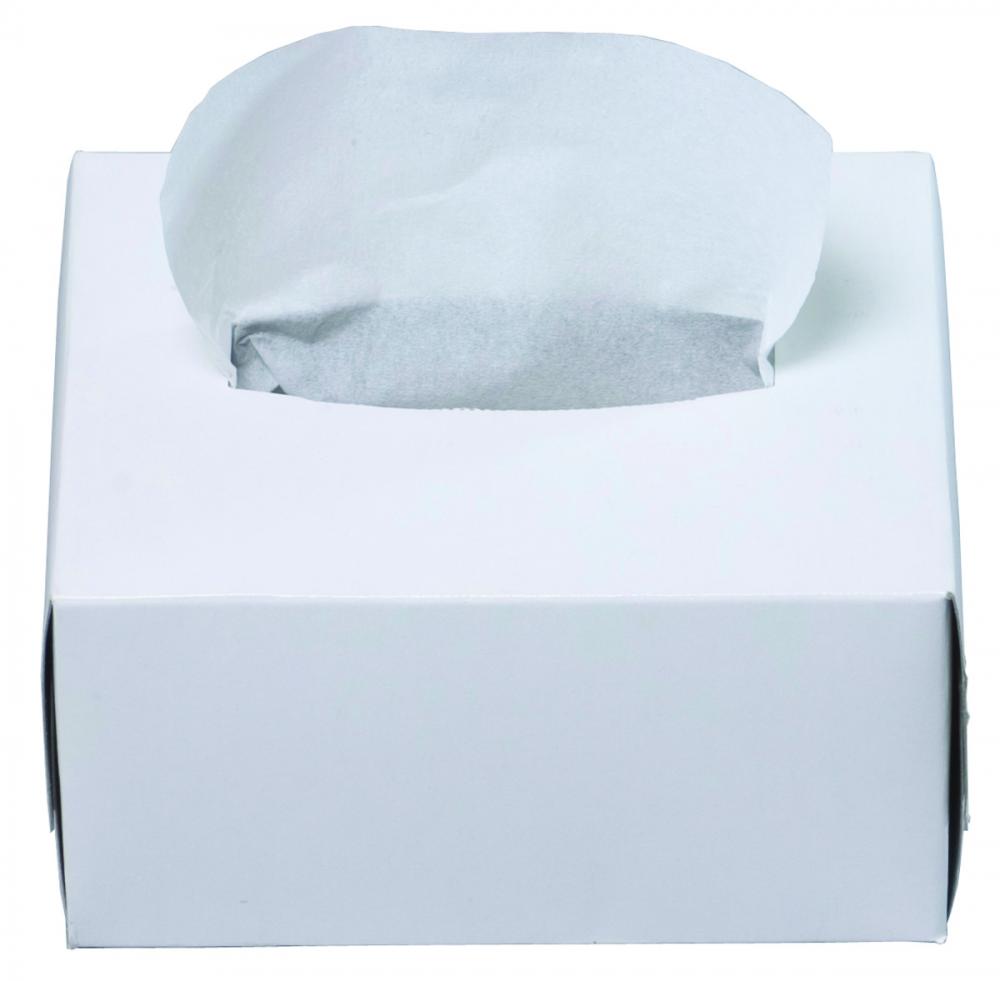 5inx 8in Tissue, 300/box, 60 boxes/case