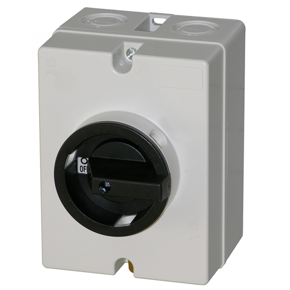 Isolator 4P, 20A, Grey enclosure  IP65