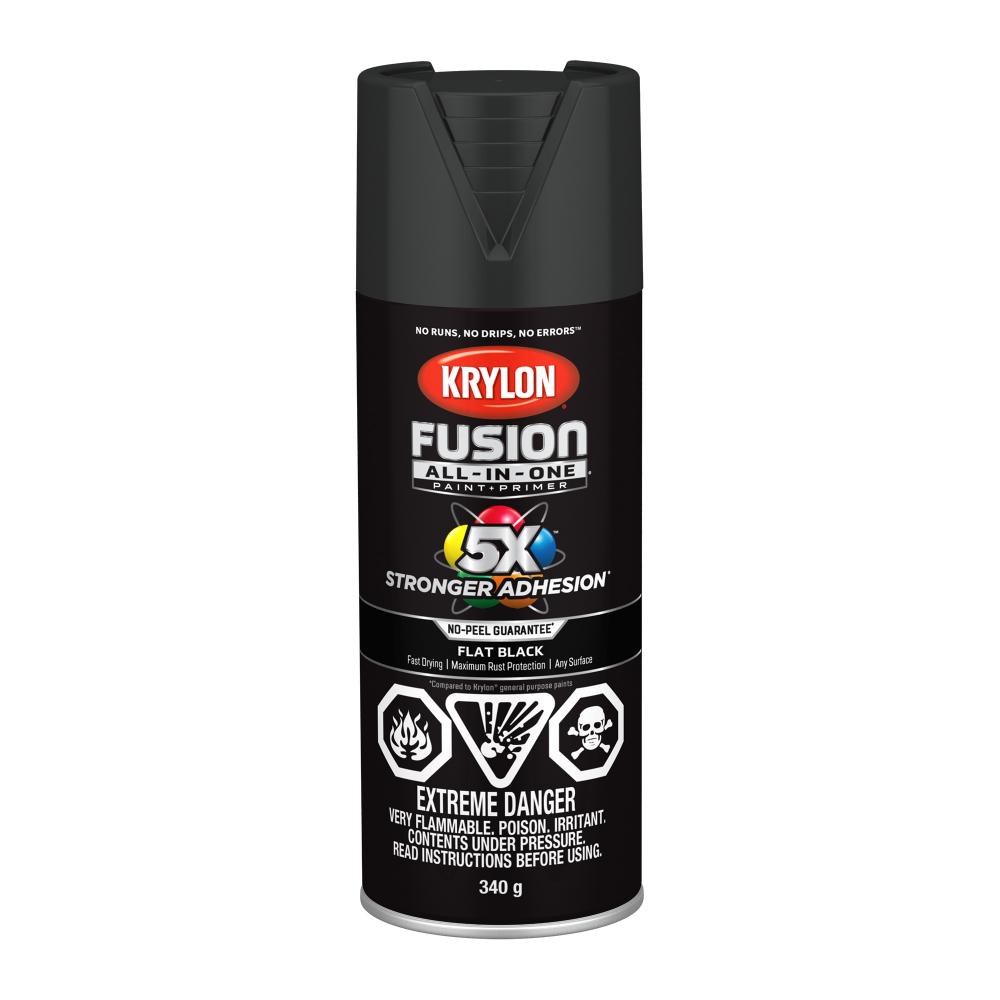 Krylon® Fusion All-In-One™ Flat, Black, 340 g