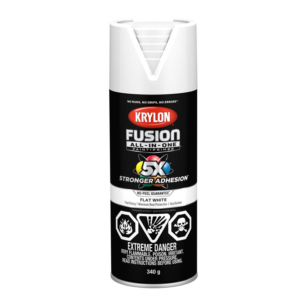 Krylon® Fusion All-In-One™ Flat, White, 340 g