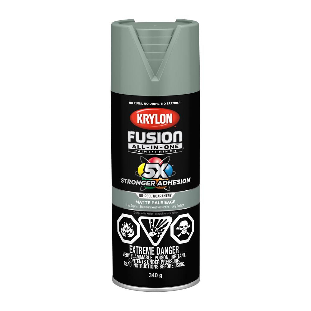 Krylon® Fusion All-In-One™ Matte, Pale Sage, 340 g