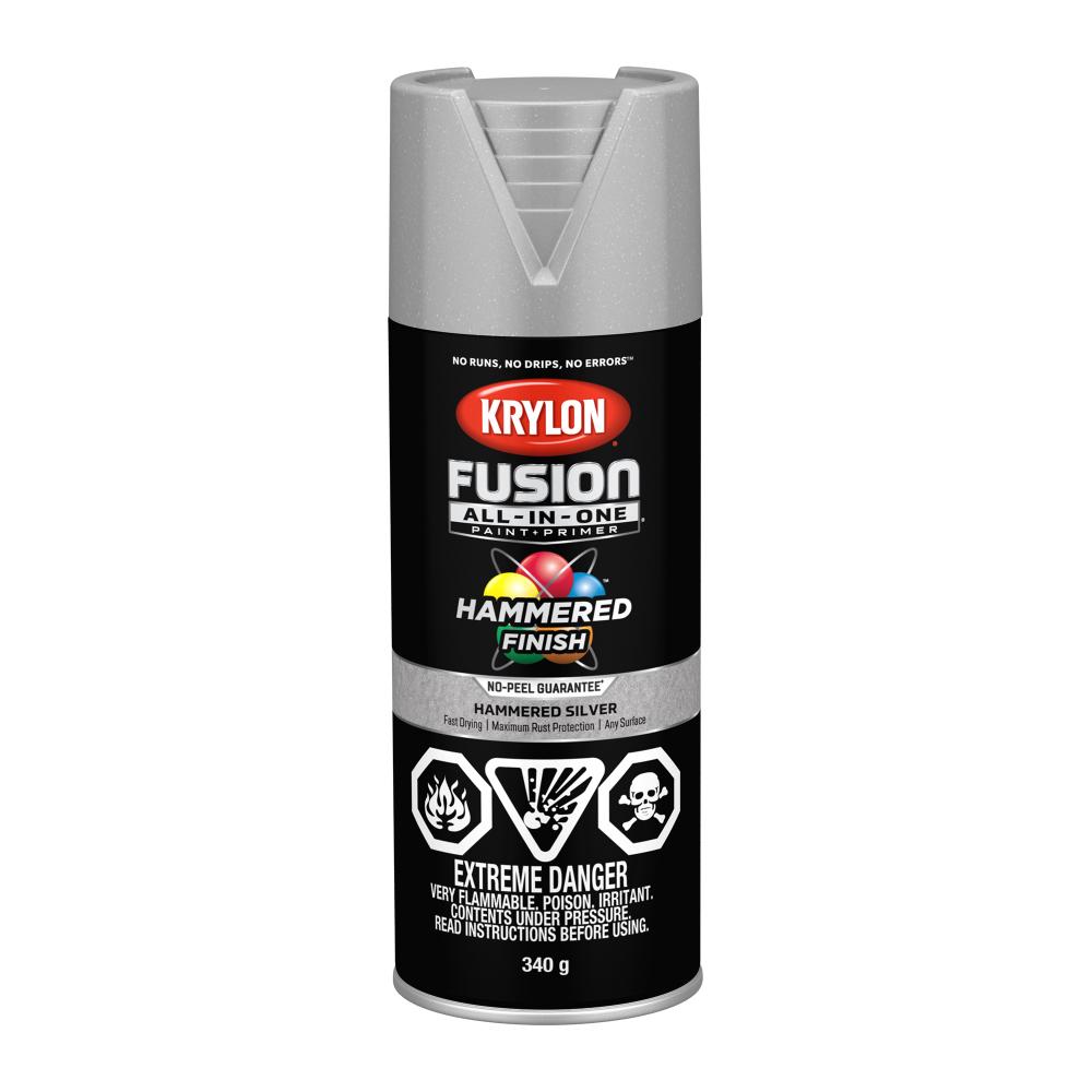 Krylon® Fusion All-In-One™ Hammered, Silver, 340 g