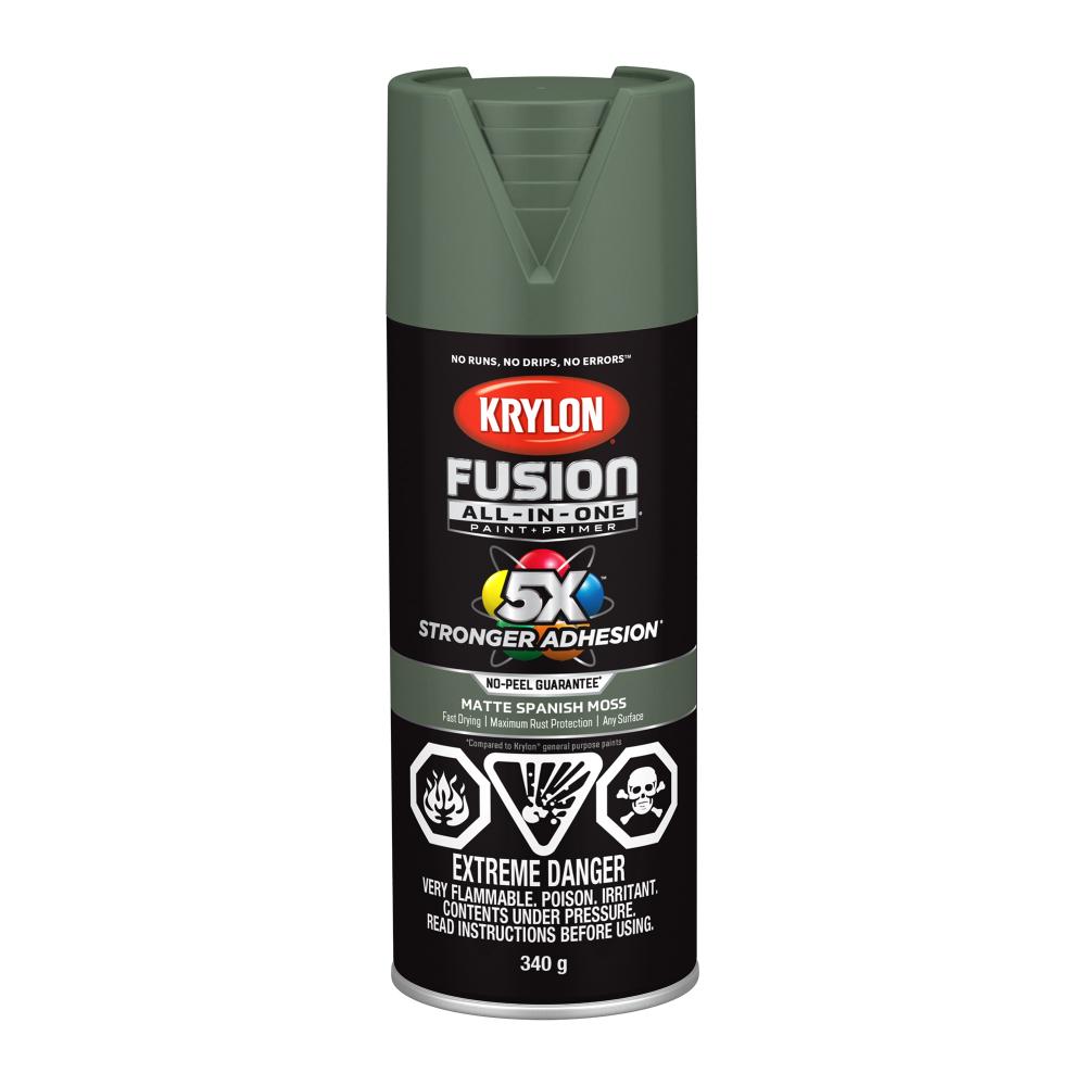 Krylon® Fusion All-In-One™ Matte, Spanish Moss, 340 g