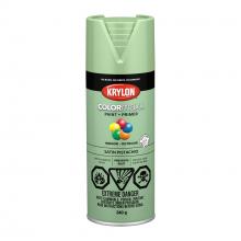 Krylon 455750007 - SATIN PISTACHIO