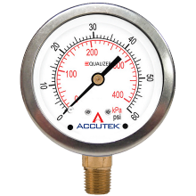 Fairview Ltd PG-60ZRSD25 - 1/4 NPT BRASS STEM MOUNT STAINLESS STEEL EQUALIZER GAUGE