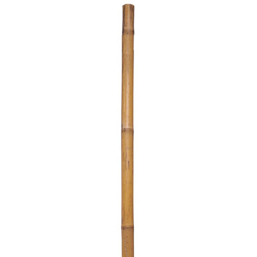 Bamboo Garden Pole 1/2 x 60in