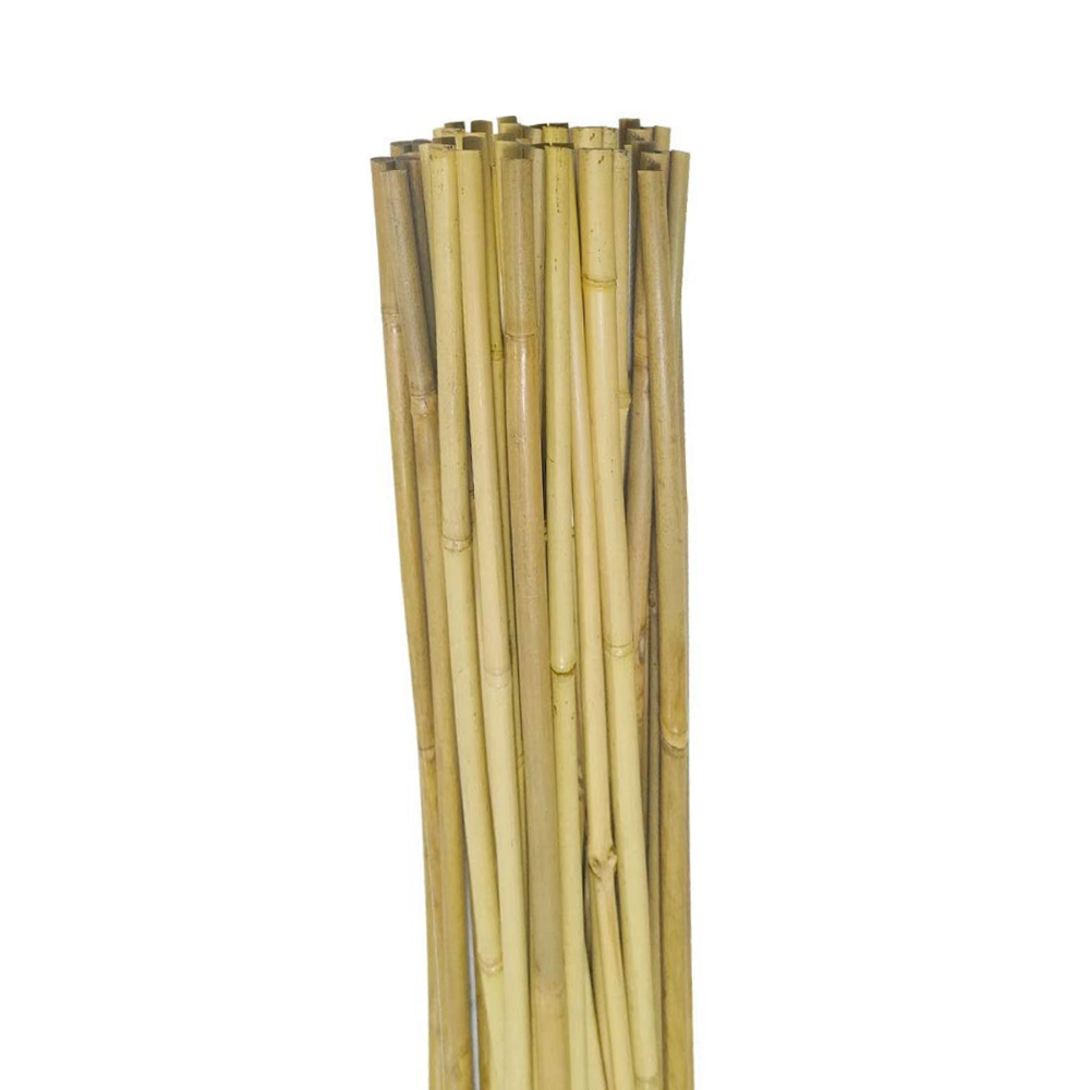 Bamboo Garden Stake 1/4 x 16in 15PC