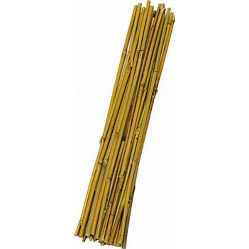 Bamboo Garden Stake 1/4 x 48in 15PC