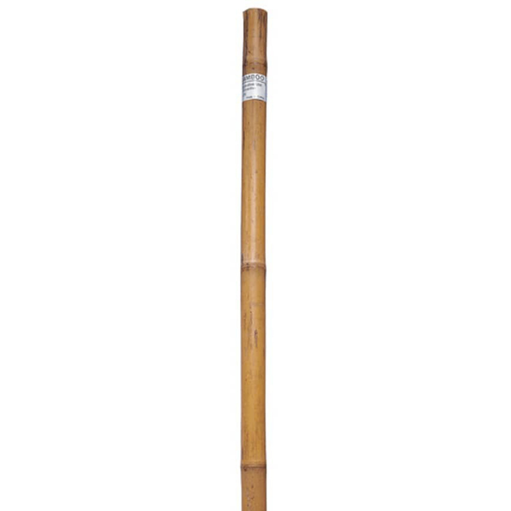 Bamboo Garden Stake 1/2 x 72in 6PC