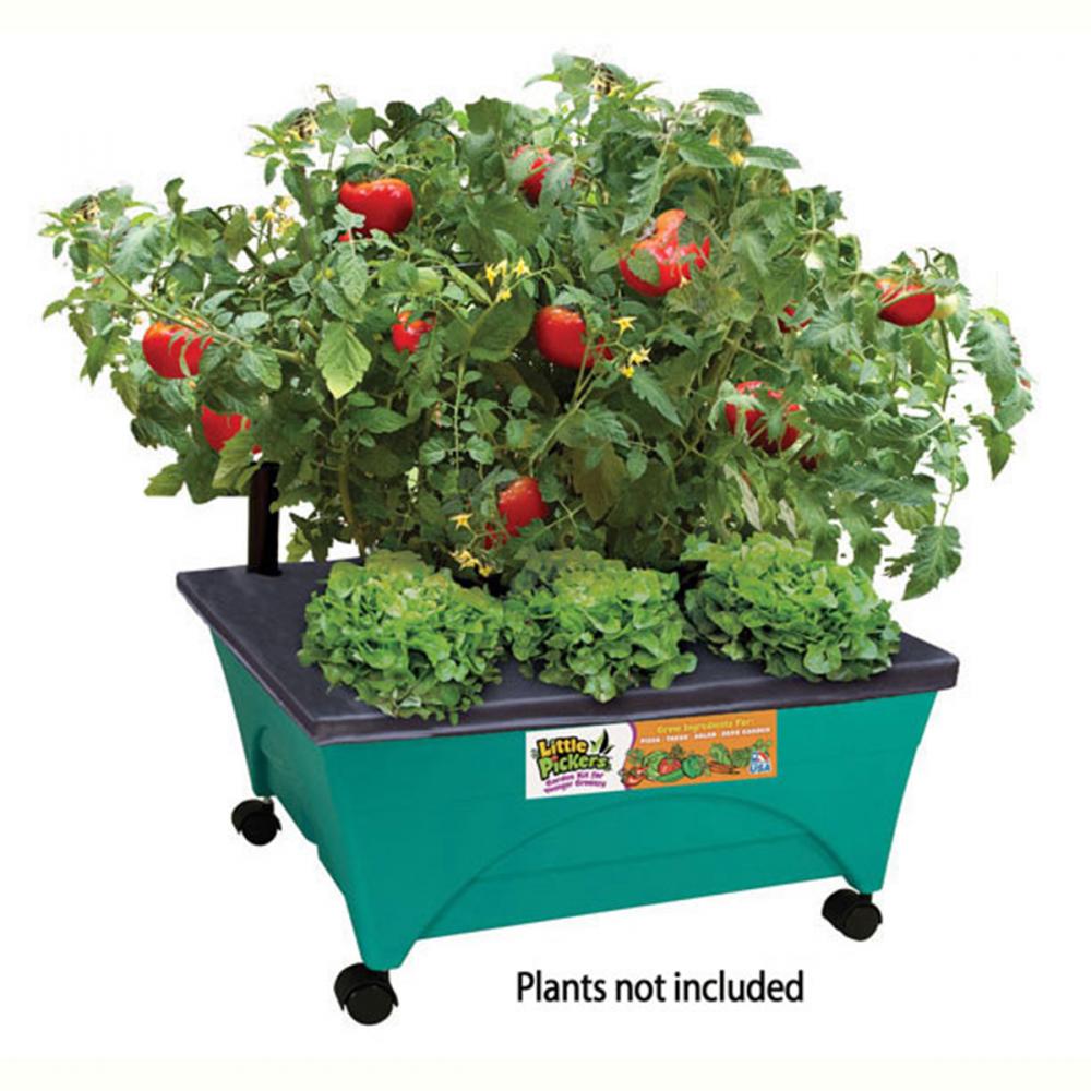 Little Pickers Kids Grow Box