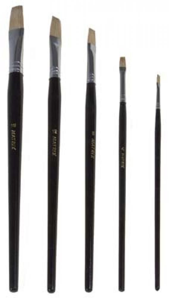 Artist Brush 5pc Set