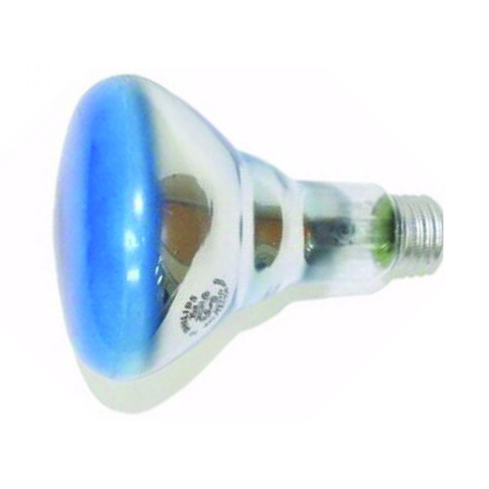 Bulb BR30 Agro Incandescent Flood Reflector for Plants 75W