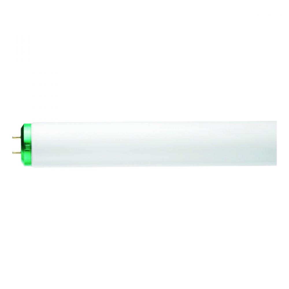 T12 Fluorescent Tube 20W 2-Pin 4100K Cool White 24in 2Pk