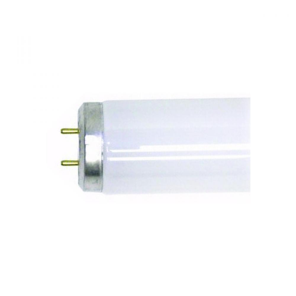 T8 Fluorescent Tube 15W Bi Pin 4100K Cool White 18in