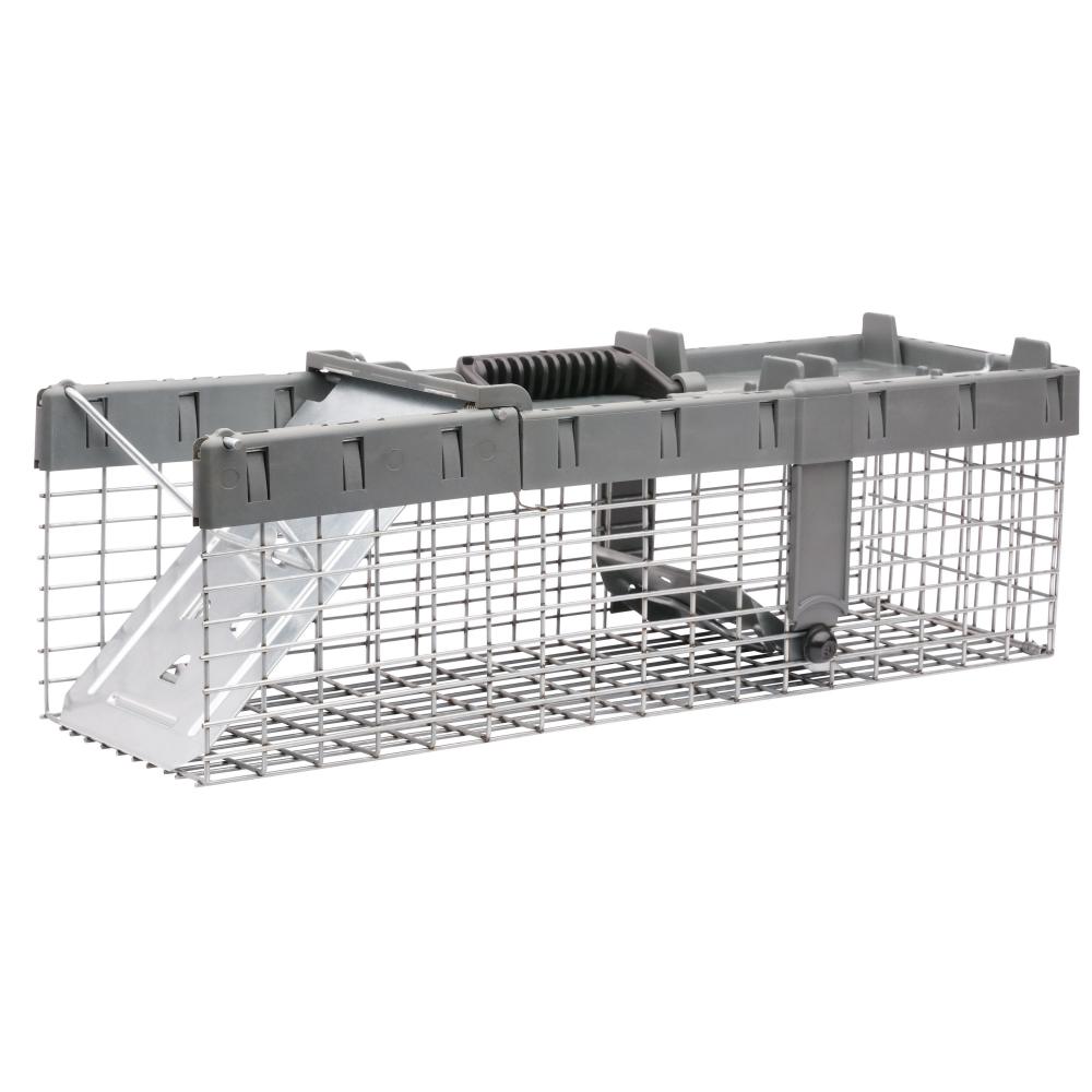 Chipmunk/Weasel/Squirrel Catch & Release Trap 1-Door