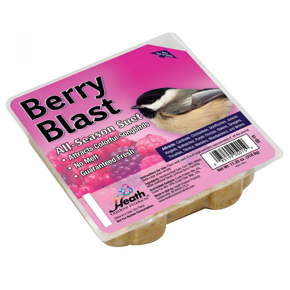 Suet Cake All Season Berry Blast 11.25oz