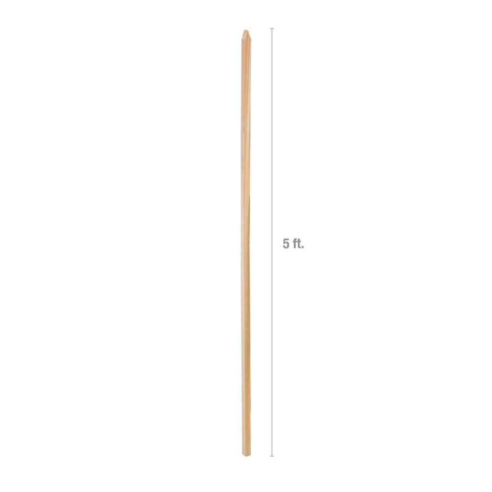 Plant Support Hardwood Stake 60in