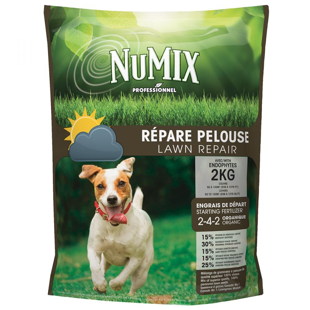 Numix Lawn Repair Mix Certified 2Kg