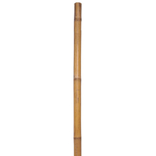 Toolway 182459 - Bamboo Garden Pole 1/2 x 60in