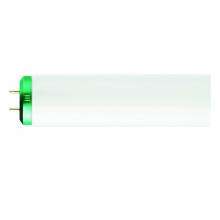 Toolway 83024475 - T12 Fluorescent Tube 34W 2-Pin 4100K Cool White 48in