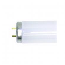 Toolway 83024874 - T12 Fluorescent Tube 20W 2-Pin 6500K Daylight 24in 2Pk