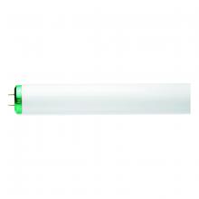 Toolway 83024894 - T12 Fluorescent Tube 20W 2-Pin 4100K Cool White 24in 2Pk