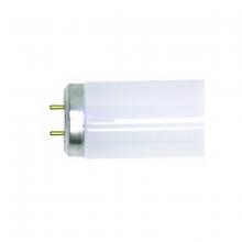 Toolway 83039207 - T8 Fluorescent Tube 15W Bi Pin 4100K Cool White 18in